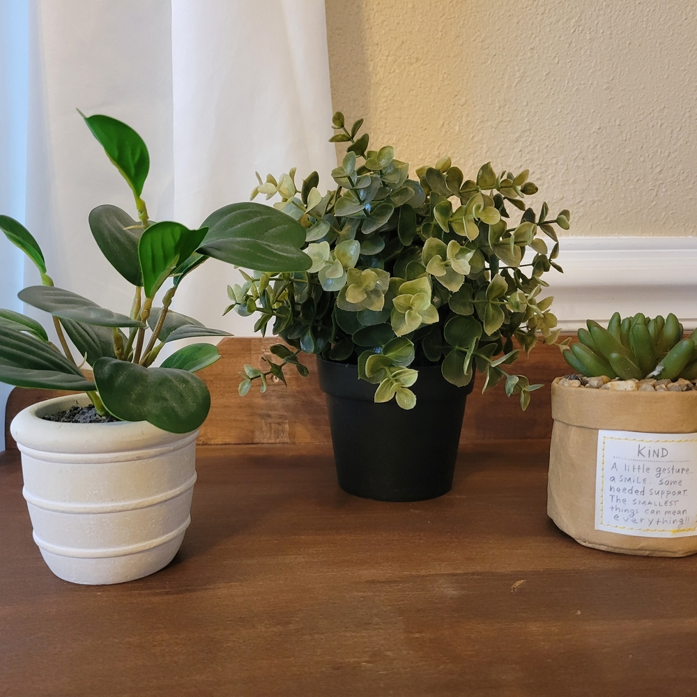 Artificial Eucalyptus Plant in Green Pot - Home Accents